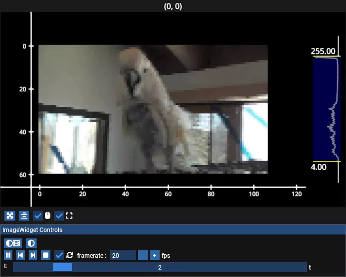 image widget single video