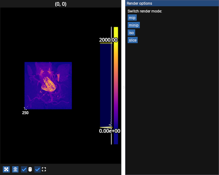 image volume render modes