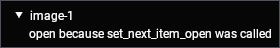 set_next_item_open
