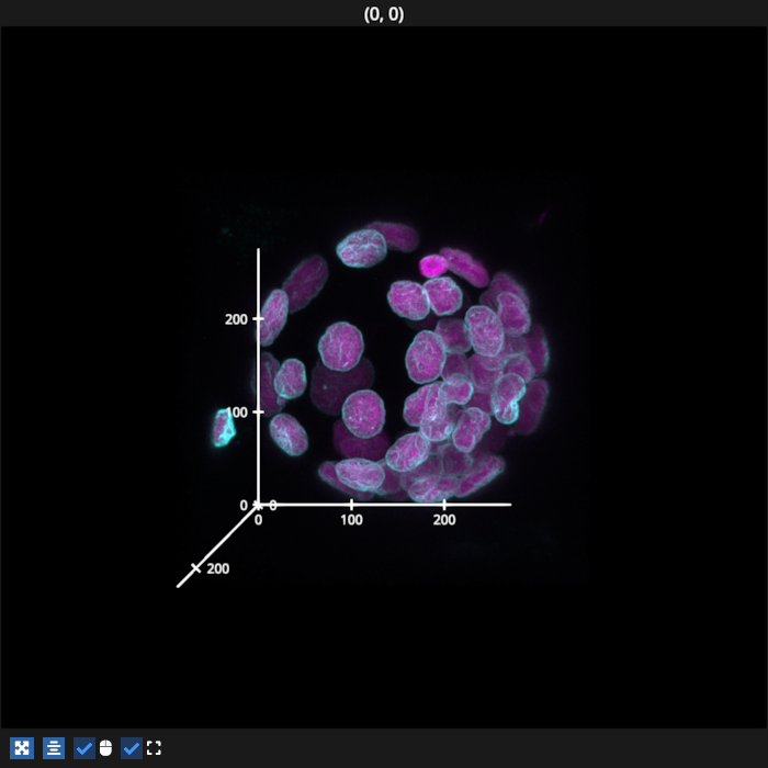 image volume multi channel