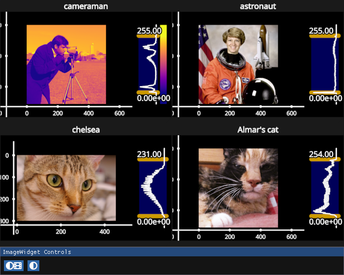 image widget grid