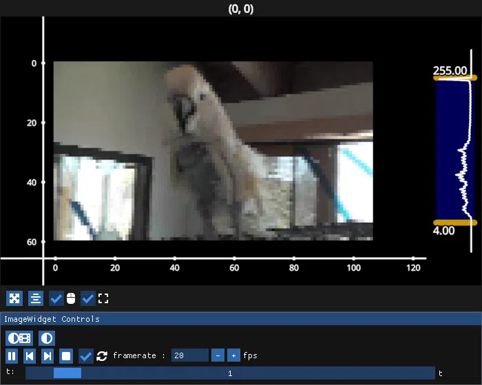 image widget single video