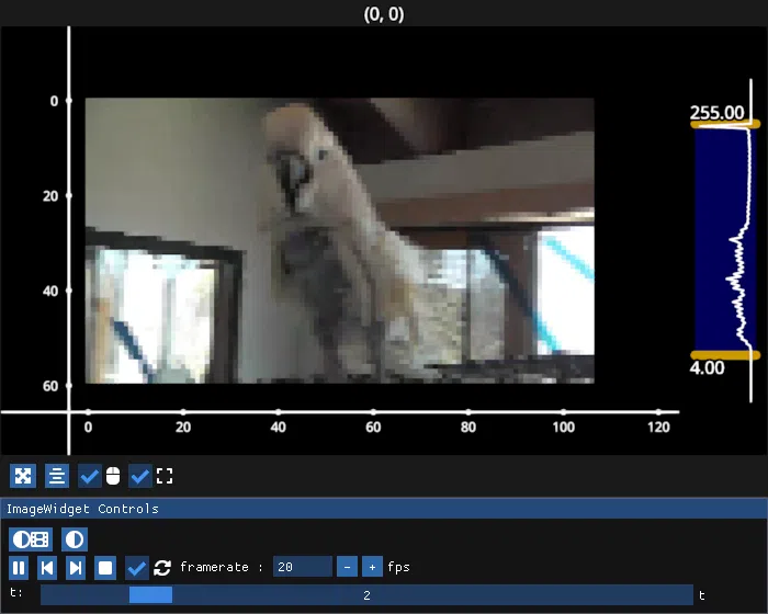 image widget single video